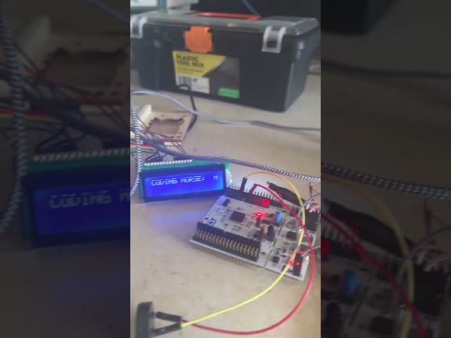 Final Project Demo