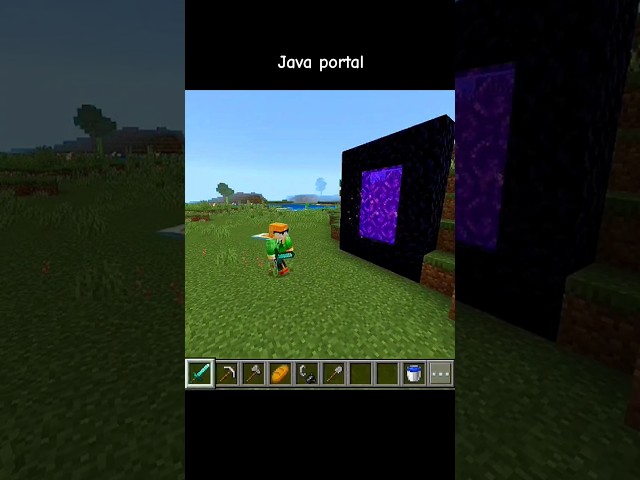 JAVA PORTAL VS POCKET PORTAL! #minecraft