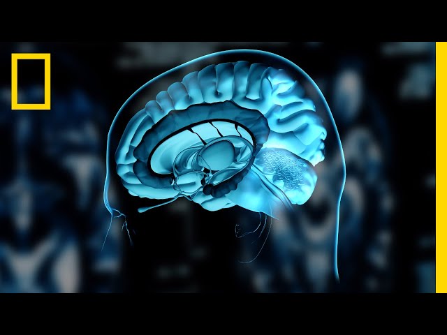What is ADHD? | National Geographic