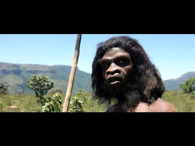 Ape To Man | Theory of Evolution Documentary