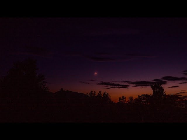 Ellu - Días infinitos
