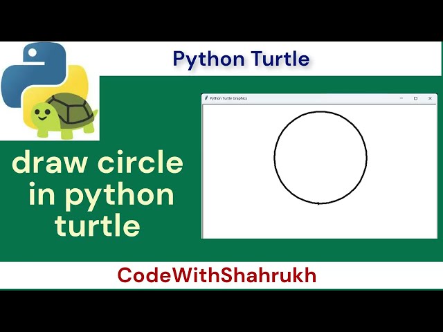 how to make a circle in python turtle. #python