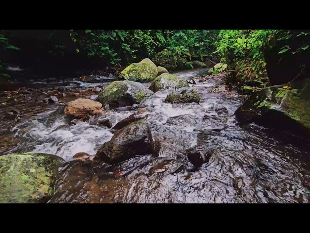 Mountain Stream Ambience 🏔️ Calming Water Sounds for Sleep, Study & Meditation