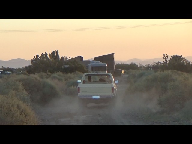 Lizzy McAlpine - The light in the painting (behind the scenes)