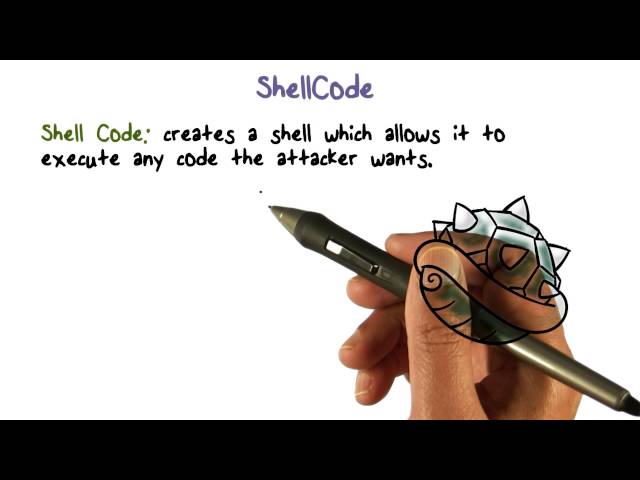 ShellCode