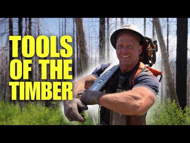 Curtis Breaks Down His Timber Felling Setup! | Story Time