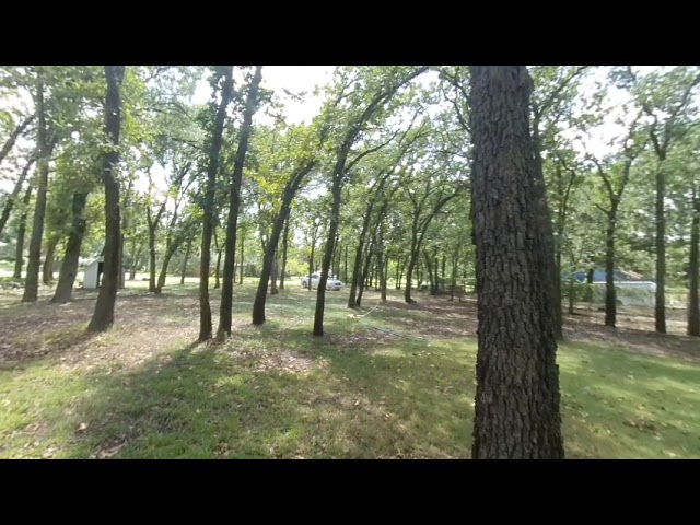 LookingAtBirdBath TalkingAboutDeepLearning