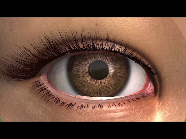 The science behind EYE-SYNC
