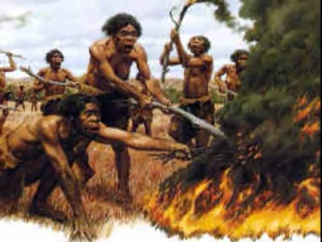The Evolution of Man