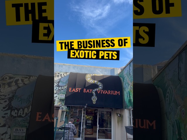 The Business Behind Exotic Pets