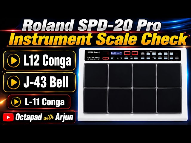 Roland SPD-20 Pro Instrument Scale Check | What is the scale of these instruments? | L12, J43 & L...