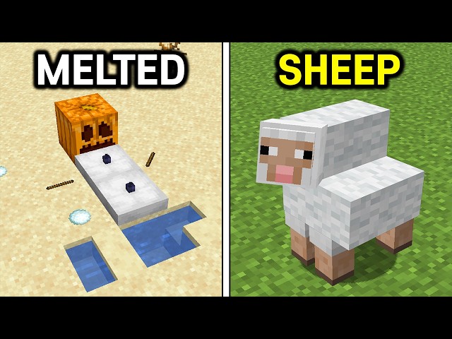 153 Minecraft Things You Didn't Know!