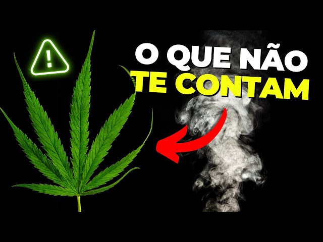 The True Effects of Marijuana on the Brain