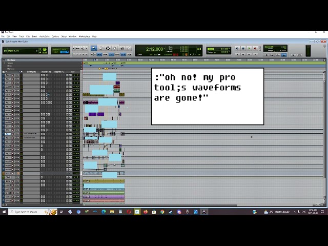 pro tools wave forms disappearing.