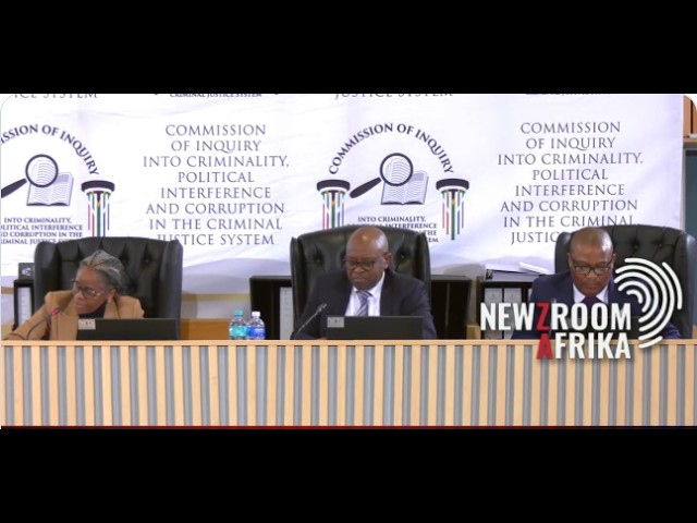 MADLANGA COMMISSION: DRUSHANTHA RAMSAMY TESTIFIES