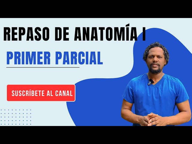 REVIEW OF THE ANATOMY OF THE THORAX