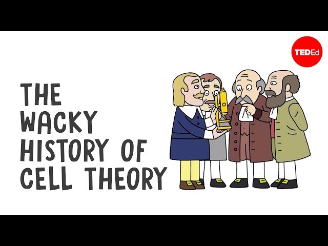 The wacky history of cell theory - Lauren Royal-Woods