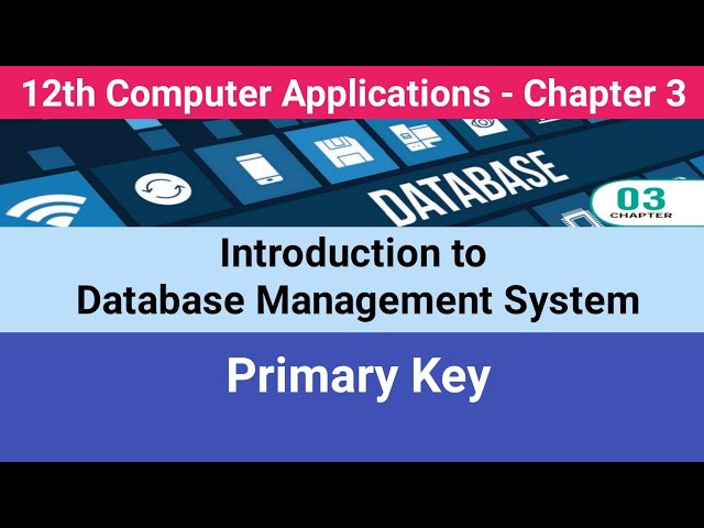 12th Computer Applications || Introduction to DBMS || Primary Key #CMWay