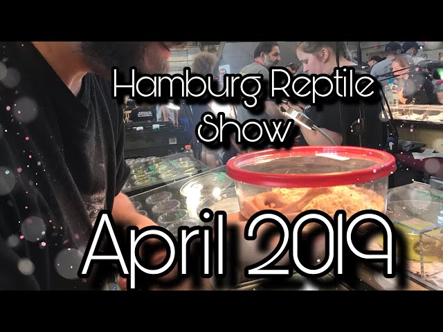 Hamburg Reptile Expo April 2019 + Pickups
