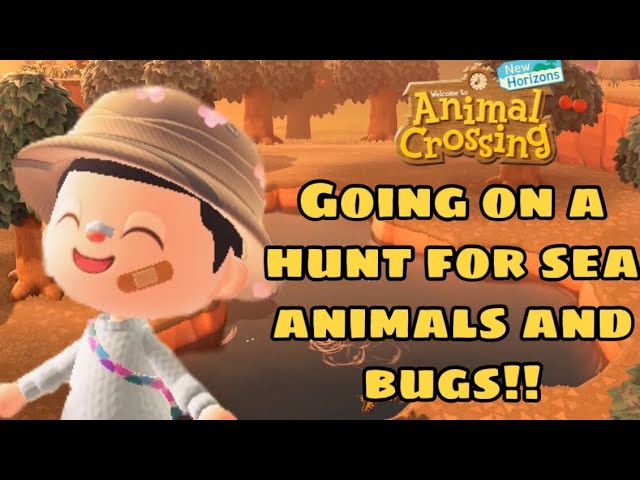 Hunting for seacreatures& bugs to build my museum //acnh//