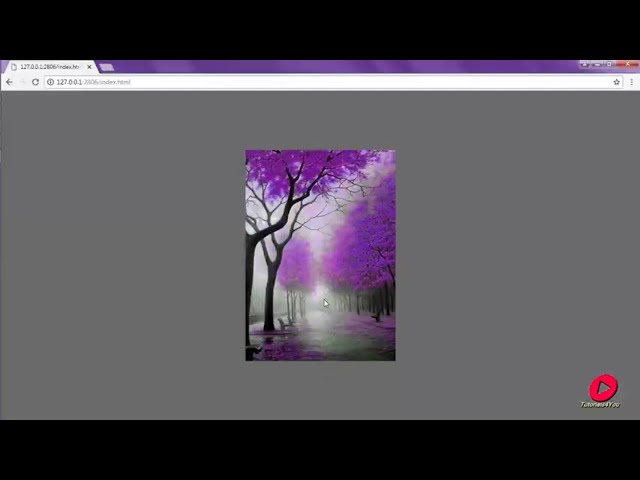 Image Hover Effect Using HTML and CSS