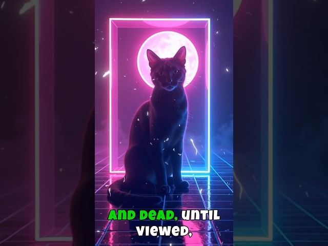 Quantum Realities: Where Science Meets the Unbelievable