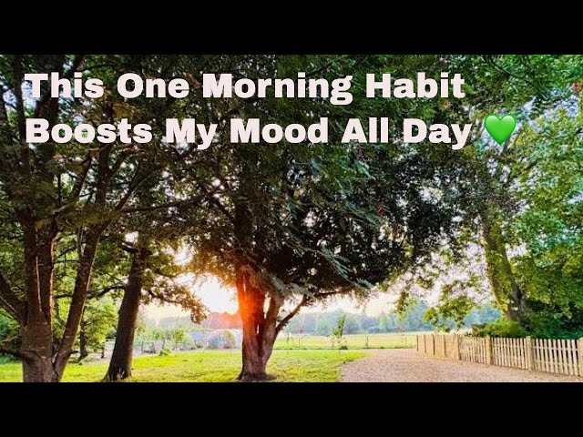 This One Morning Habit Boosts My Mood All Day 💚 #earlymorningroutine #morningroutine #selfcare