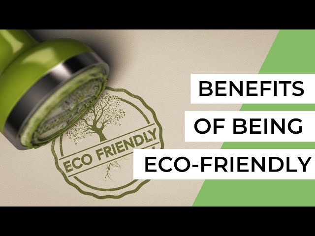 The Importance of Being Eco-Friendly  (Benefits for You and the Environment)