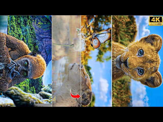 Trending 4K 8K 16K Video Editing Tutorial | 4k Quality Tutorial | How to Enhance Video with AI