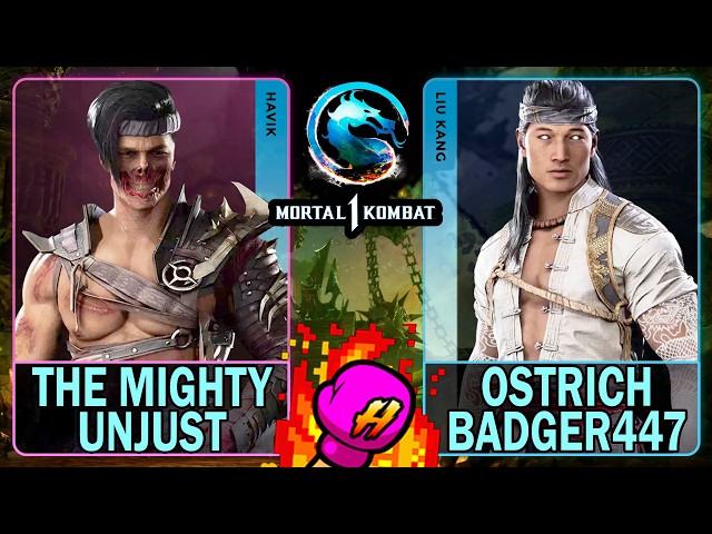 MK1 The Mighty Unjust (HAVIK) VS Ostrich Badger447 (LIU KANG)🥊Mortal Kombat 1🥊4K 60ᶠᵖˢ