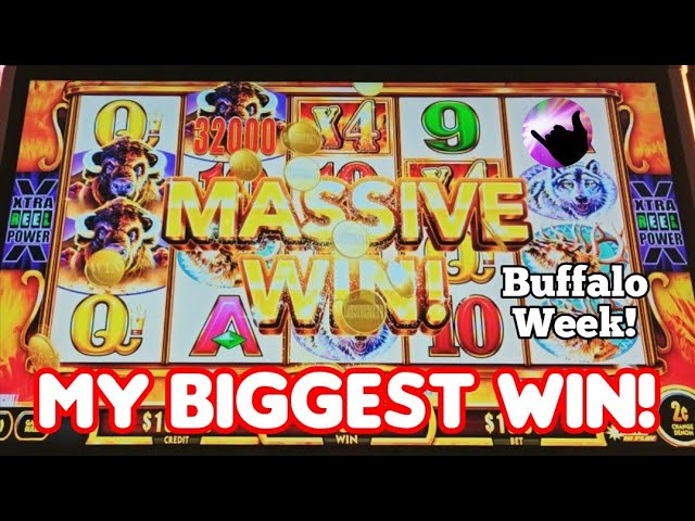 My Biggest Win on Buffalo Gold Cash Collection!