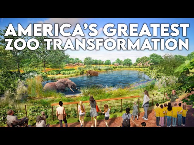 Breaking Down the Boldest Zoo Master Plan