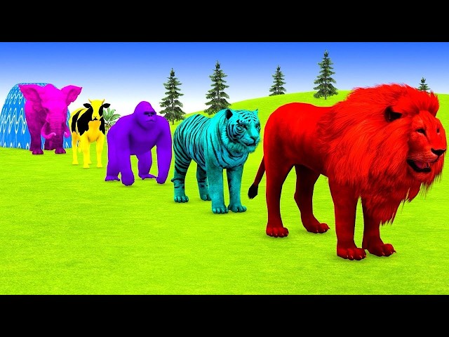 Long Slide Game With Cow Elephant Gorilla Hippopotamus Tiger 3d Animal Game Funny 3d Animals