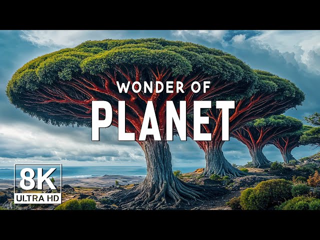 WONDERS OF PLANET - The Most Fascinating Places on Earth - Travel Video 8K