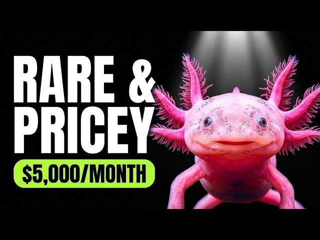 9 Spare-Room Animals That Quietly Out-Earn a $5,000 Salary