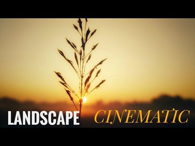Mastering Cinematic Edits || #CinematicEditing #VideoEditingTips #CreativeEdits||