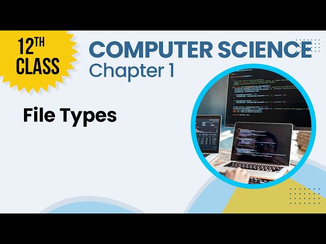 12th Class Computer Science Chapter 1 - 12 Class Computer Science Ch 1 - File Types