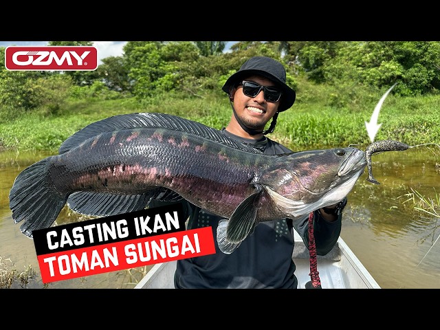 TOMAN SUNGAI MAKAN OZMY PADDLE POP!