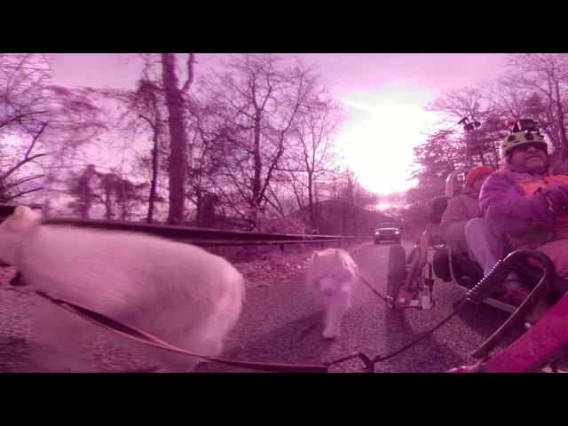 WooFDriving Virginia Forest Roads in 360° 12.03.2019