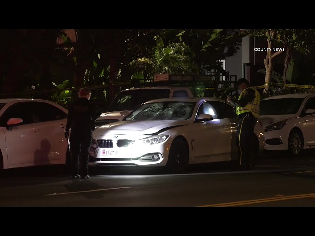 wo Women Struck, Killed By BMW Sedan | Stanton, CA