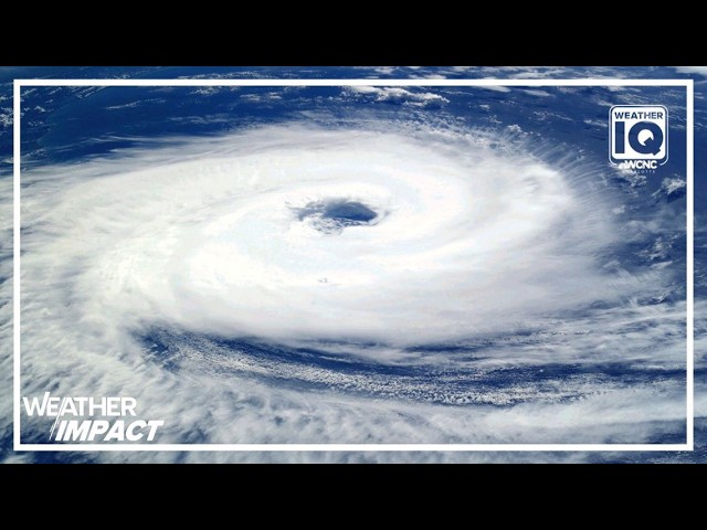 NOAA: below-normal hurricane season likely