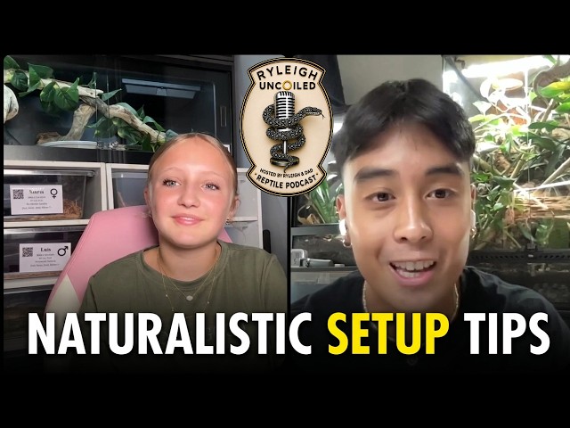 Episode 02 paul.n.scales "From Foam to a Reptile Masterpiece"