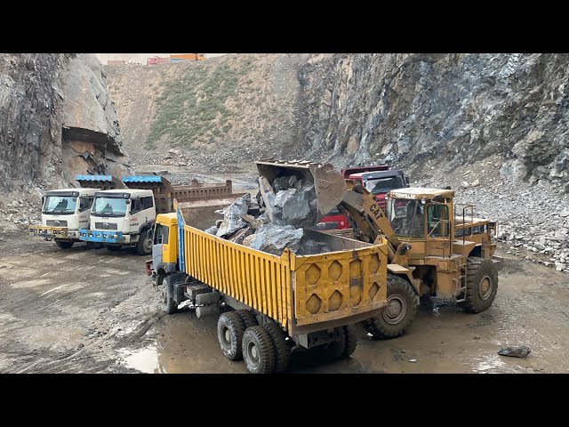 Loading Huge Stones Into the Truck Smooth and Satisfying Stone Loading