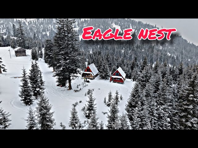 ზამთრის ზღაპარი არწივის ბუდეში / eagle nest 🪺 