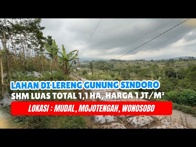EPS 1.665 Land on the slopes of Mt. Sindoro, Freehold title, 1.1 Ha, Price 1 million/m², Location...