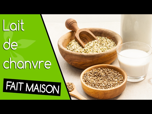 Lait de chanvre fait maison