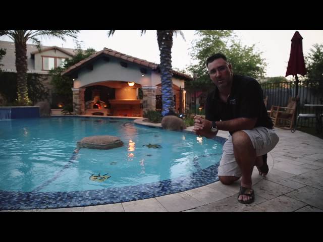 Zero Edge Pool | Unique Landscaping & Custom Pools