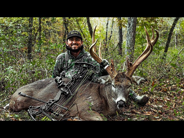 The Story Of Moose - My Most MASSIVE Deer Ever