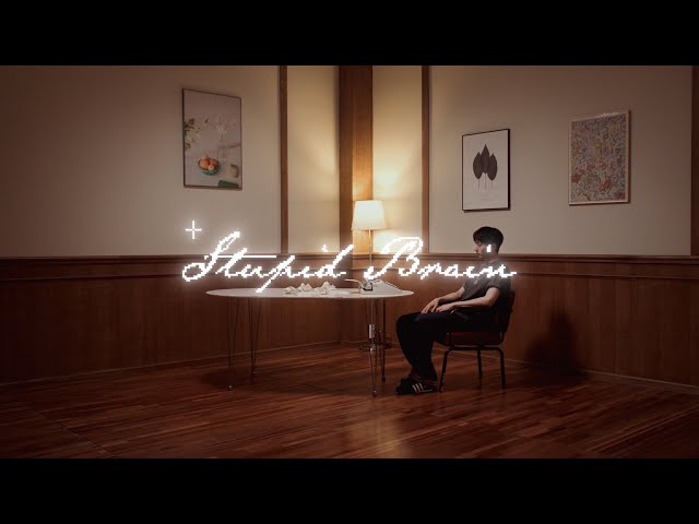 P1Harmony (피원하모니) - 'Stupid Brain' LYRIC VIDEO