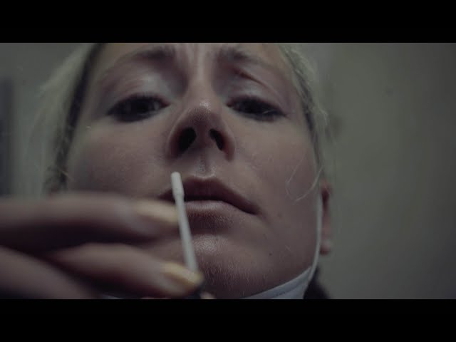 SCALLY & THE BALLYBOYZ - Germ Free (Official Music Video)